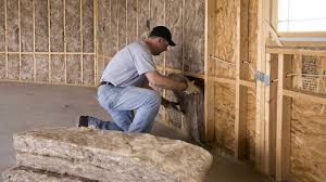 Best Attic Insulation Installation  in Los Fresnos, TX