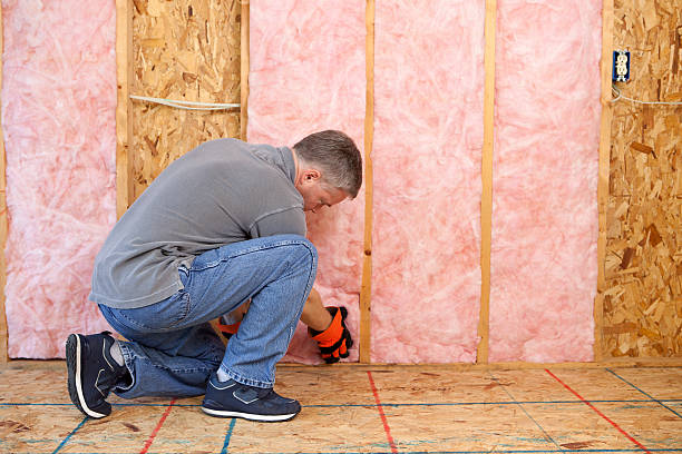 Best Insulation Air Sealing  in Los Fresnos, TX